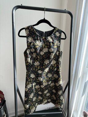 Zara Basic Gorgeous Dress